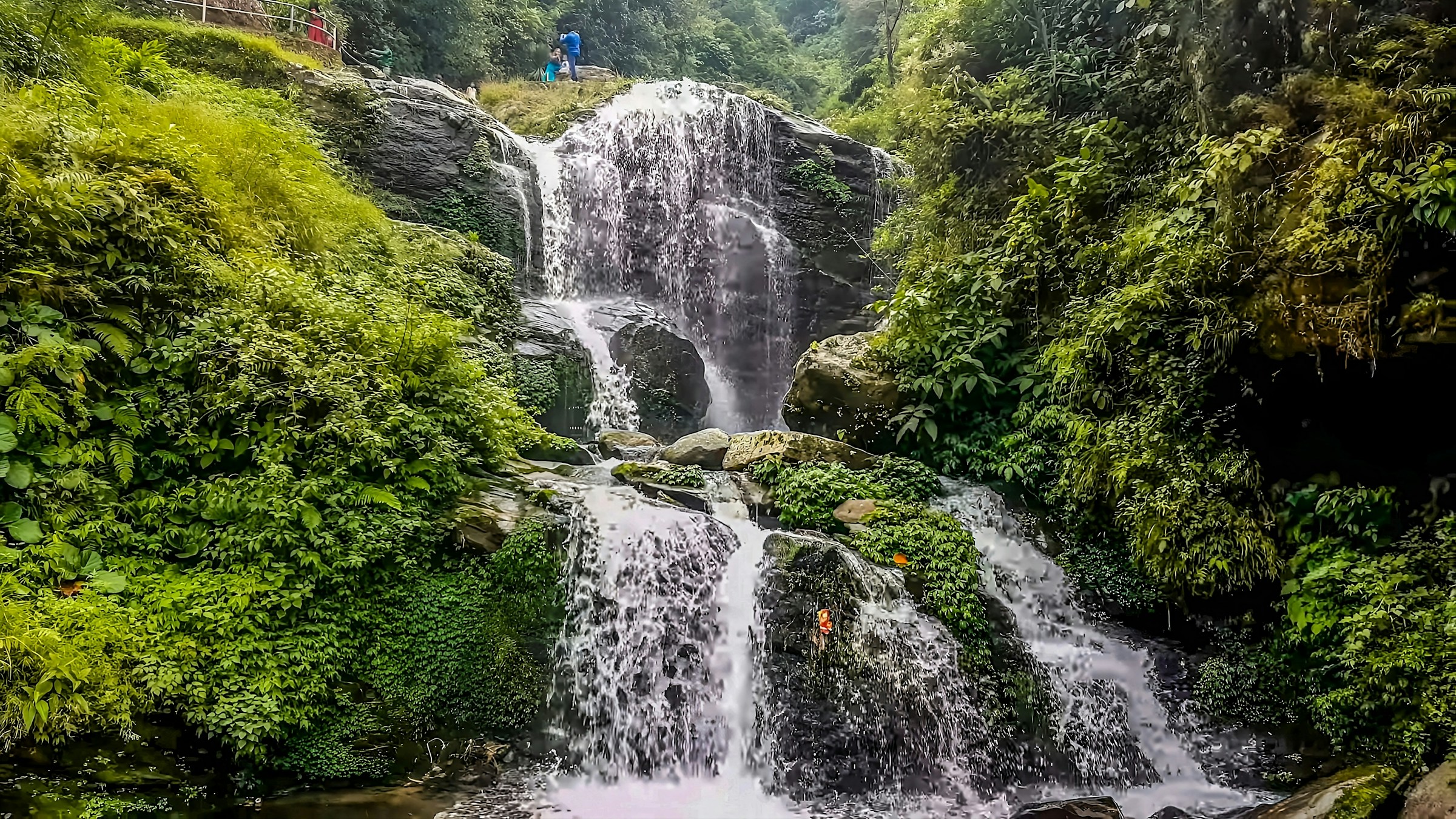 Rock Garden Darjeeling